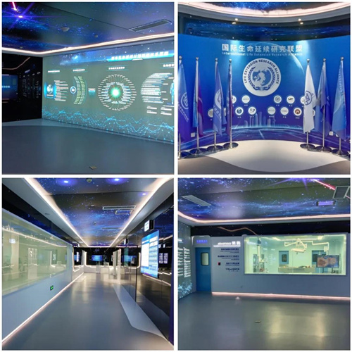 1731909372988792.jpg 5.jpg